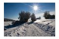 Winter M 05